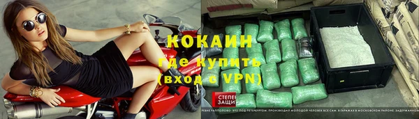 тгк Дмитровск