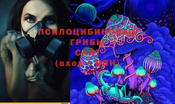 бутират Гусев