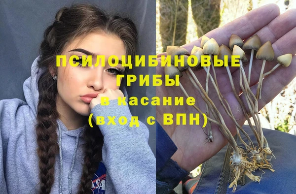 дмт Гусь-Хрустальный
