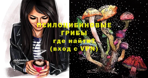 дмт Гусь-Хрустальный