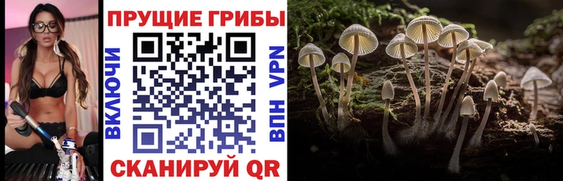 Псилоцибиновые грибы Magic Shrooms  Олёкминск 